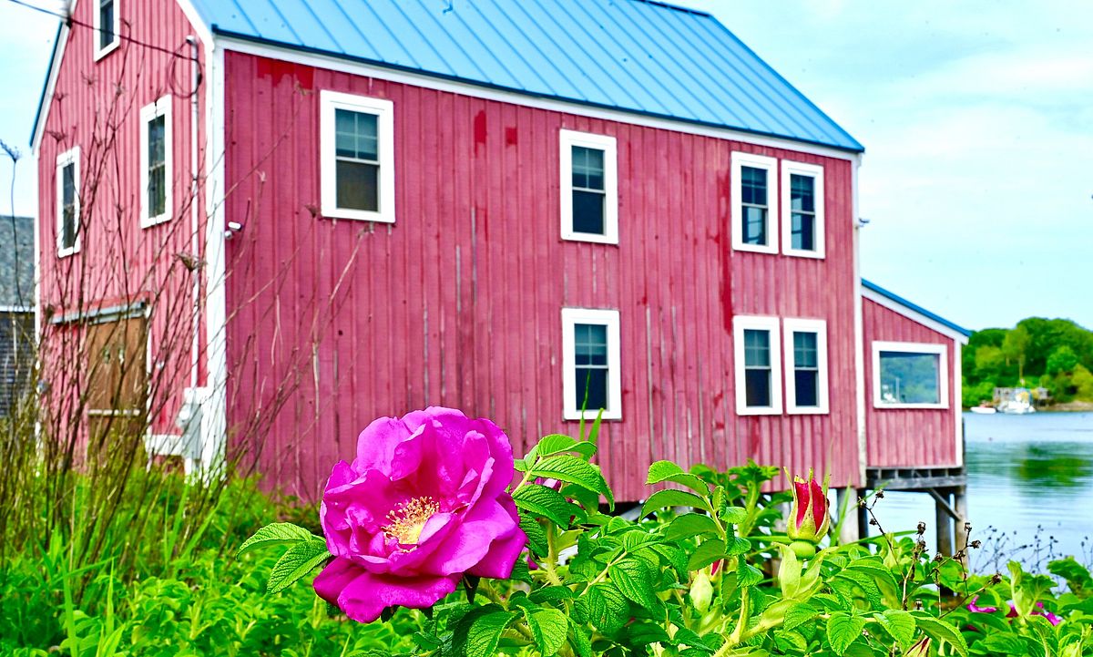 The Promised Sunshine of the First Day of Summer: Photo by Robert Dennis