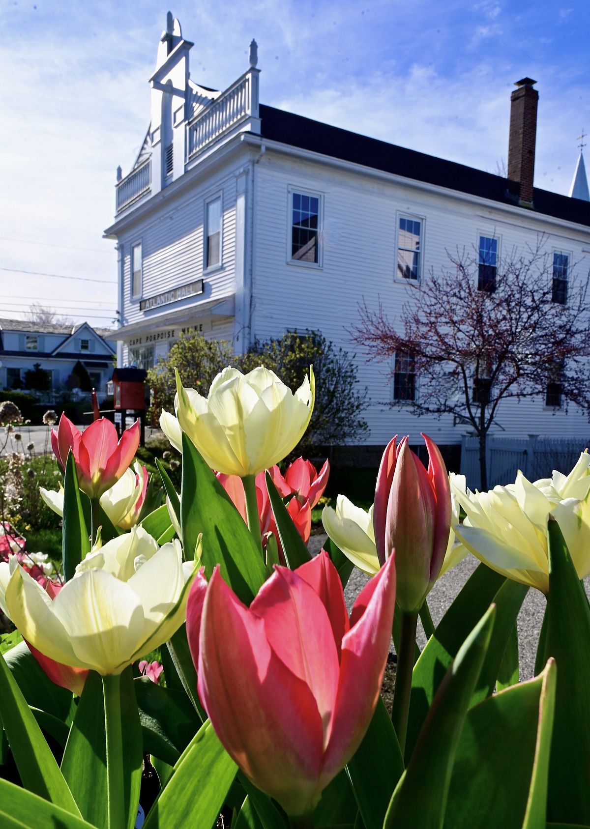 Atlantic Hall, A Community Center: Photo by Robert Dennis