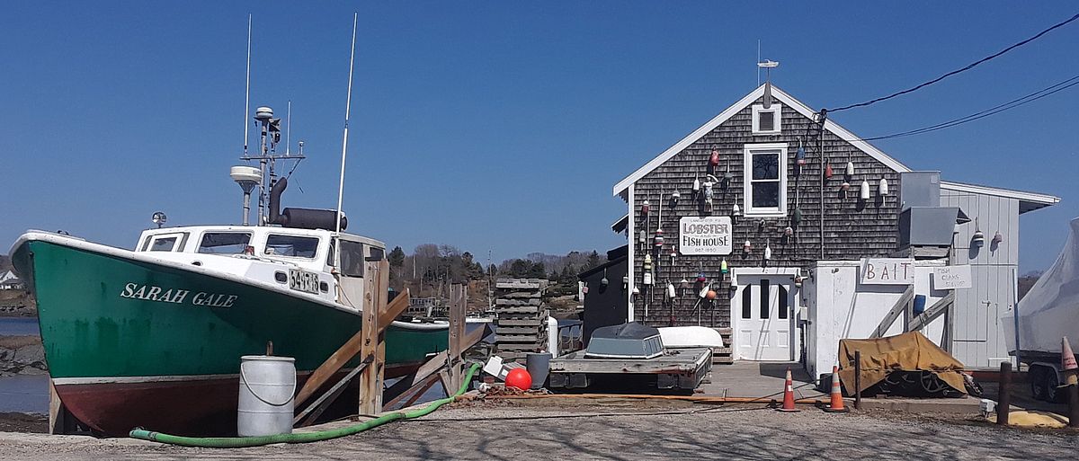Spring Day on the Langsford Road, Cape Porpoise: Photo by Tom Foley