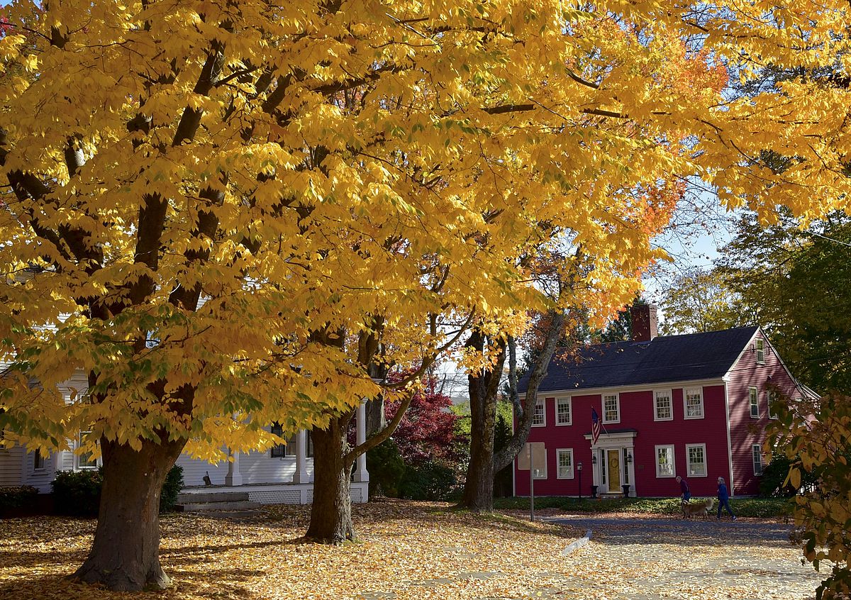Fall Beauty: Photo by Robert Dennis