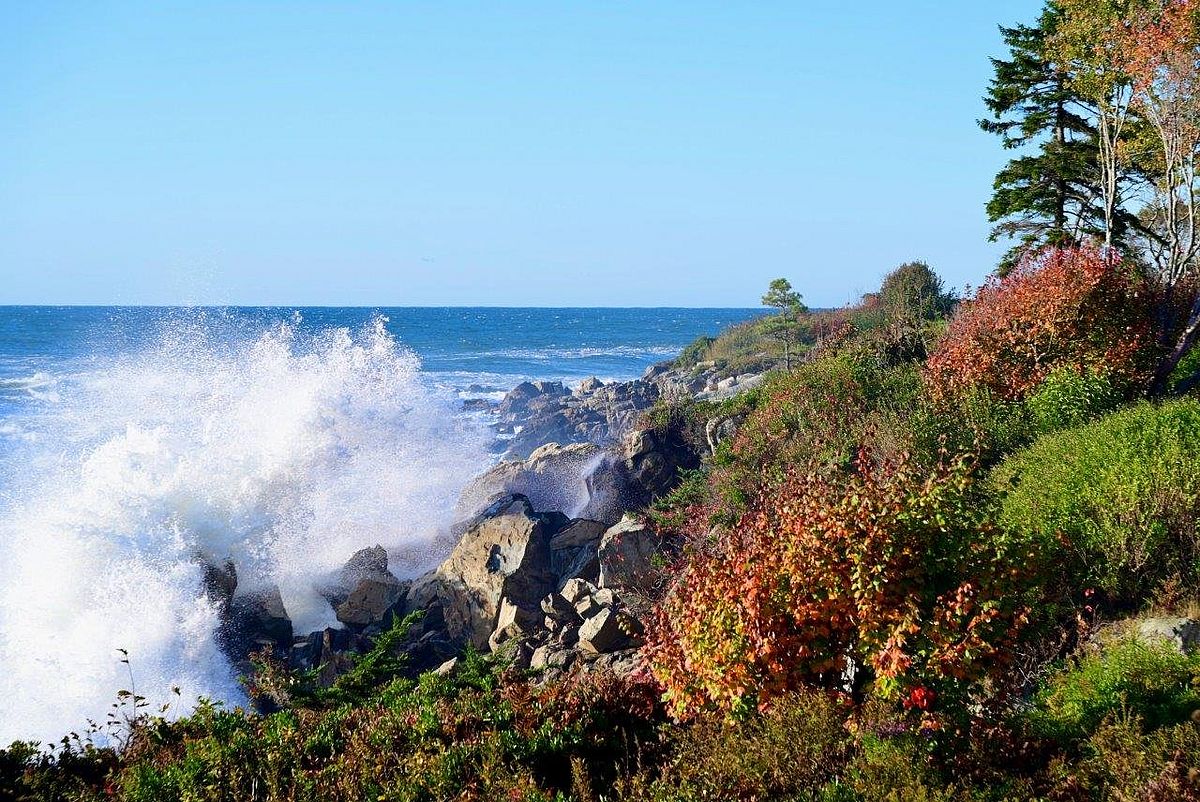 The Type of Day When the Heart is Filled: Photo by Robert Dennis