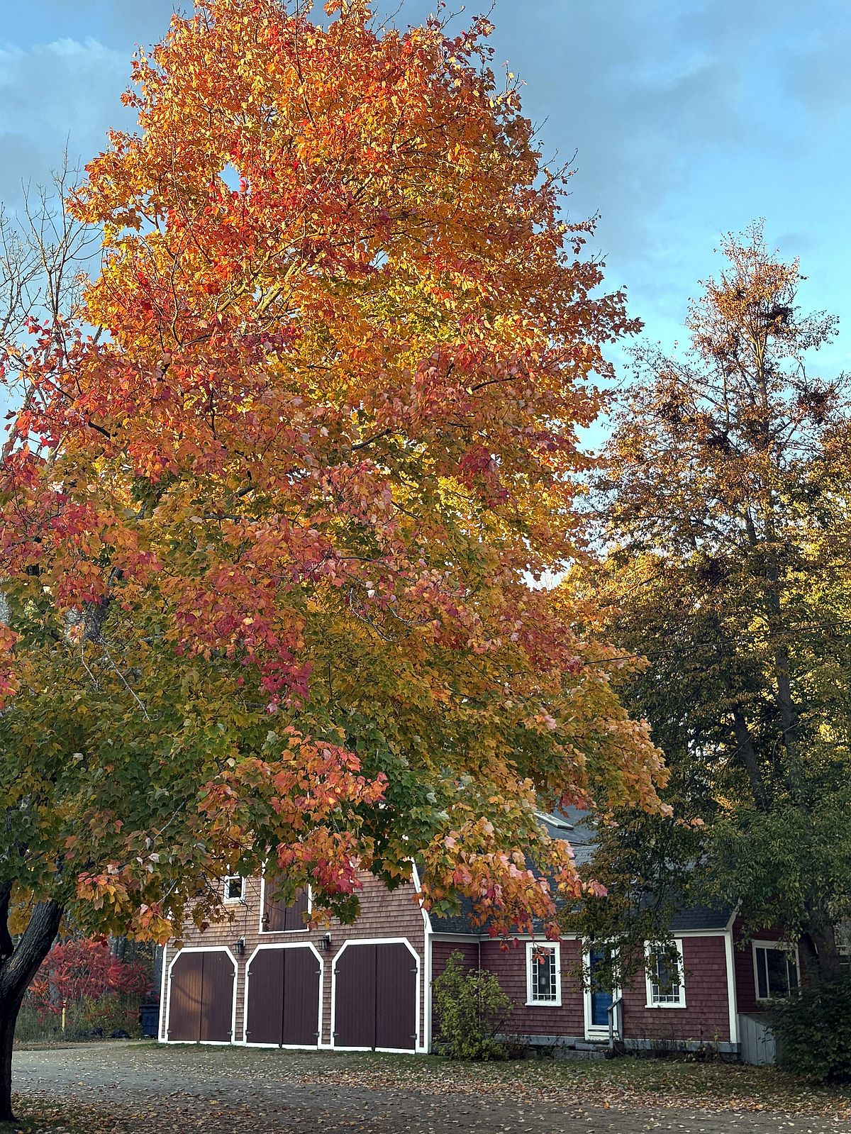 The Emmons Preserve in the Still Golden Light: Photos by Tom Bradbury & Nikki Schlie
