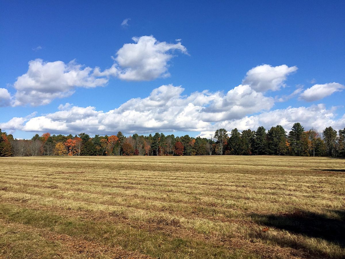 View from the Cluff Preserve