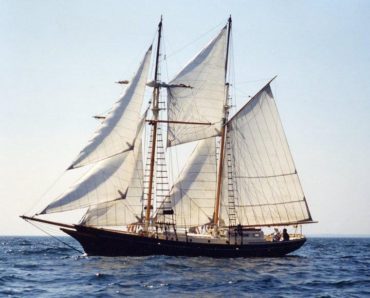 The Saltwind sailing our local waters