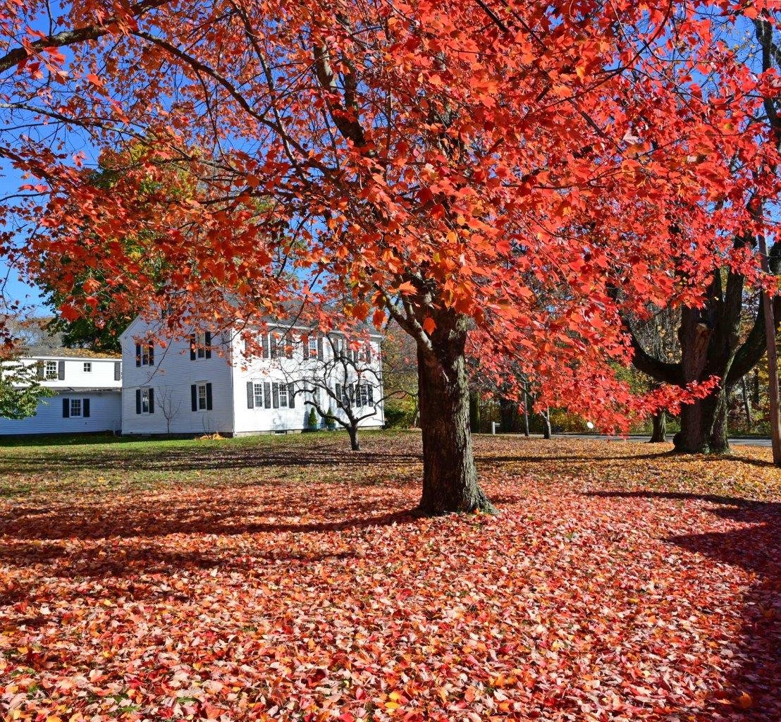 A Change of Season in Kennebunkport: Photo by Robert Dennis