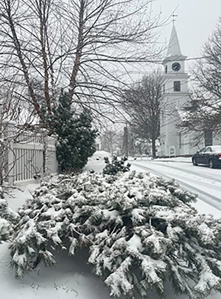 Saturday Snow, photo by Bob Dennis