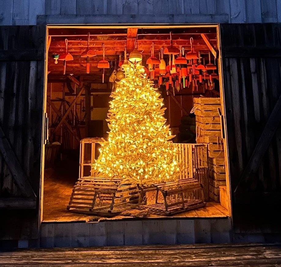Wishing You Christmas Joy, Hope, Courage, Peace, Grace & Love: Photo by Stacey Link